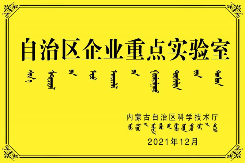 自治區(qū)企業(yè)重點實驗室